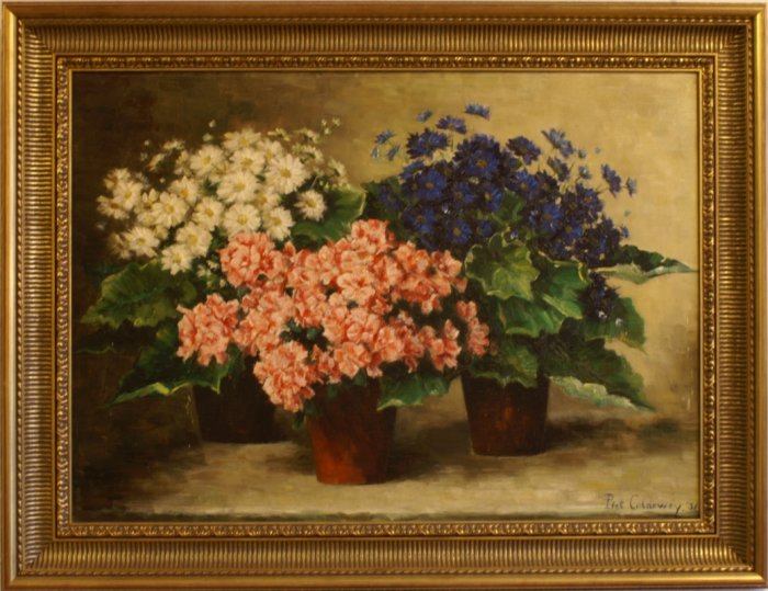 Piet Coldewey